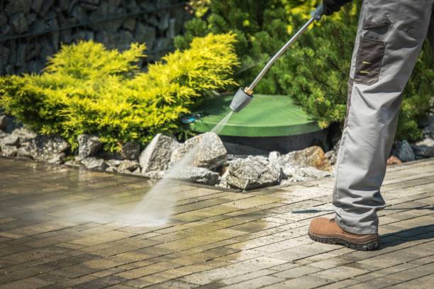 Best Sign and Awning Cleaning  in Forest Hills, TN