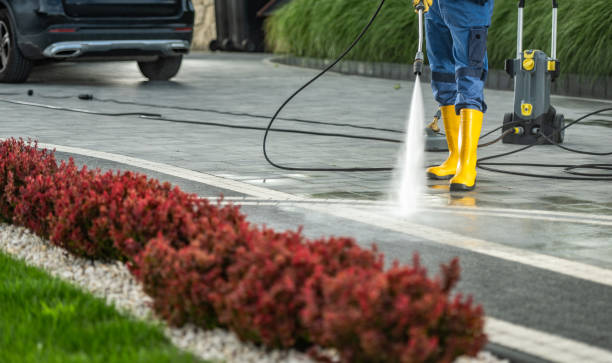 Best Graffiti Removal  in Forest Hills, TN